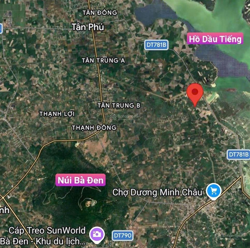 Bán 196m2 đất giá 169tr, nằm giữa hồ dầu tiếng và núi bà
