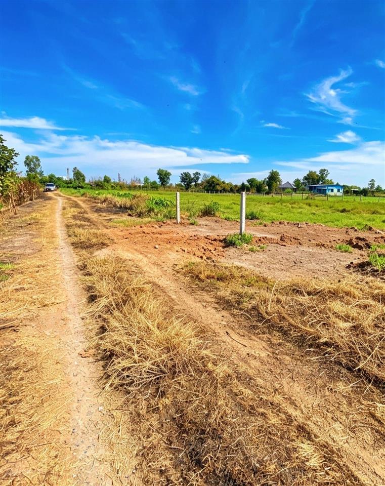 Bán 196m2 đất giá 169tr, nằm giữa hồ dầu tiếng và núi bà
