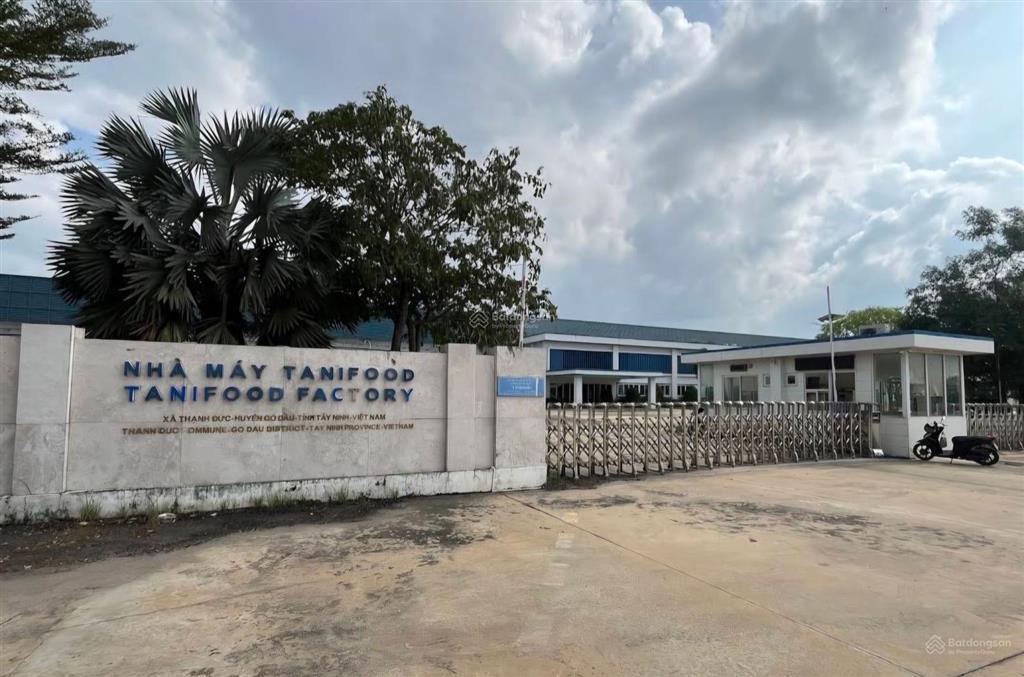 Đất rẻ công nhân làm xí nghiệp 199tr bến mương gò dầu, liền kề cổng kcn thạnh đức sắp thi công