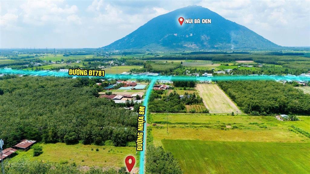 Mặt tiền nhựa phước tân 535m2 giá 468 triệu  view núi bà đẹp thích hợp mở quán cà phê