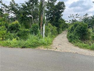 Bán đất tại nhánh của đường 93, 4,5 tỷ, 3000m2, đường nhựa lớn khu dân cư, đá bạc, giáp long phước