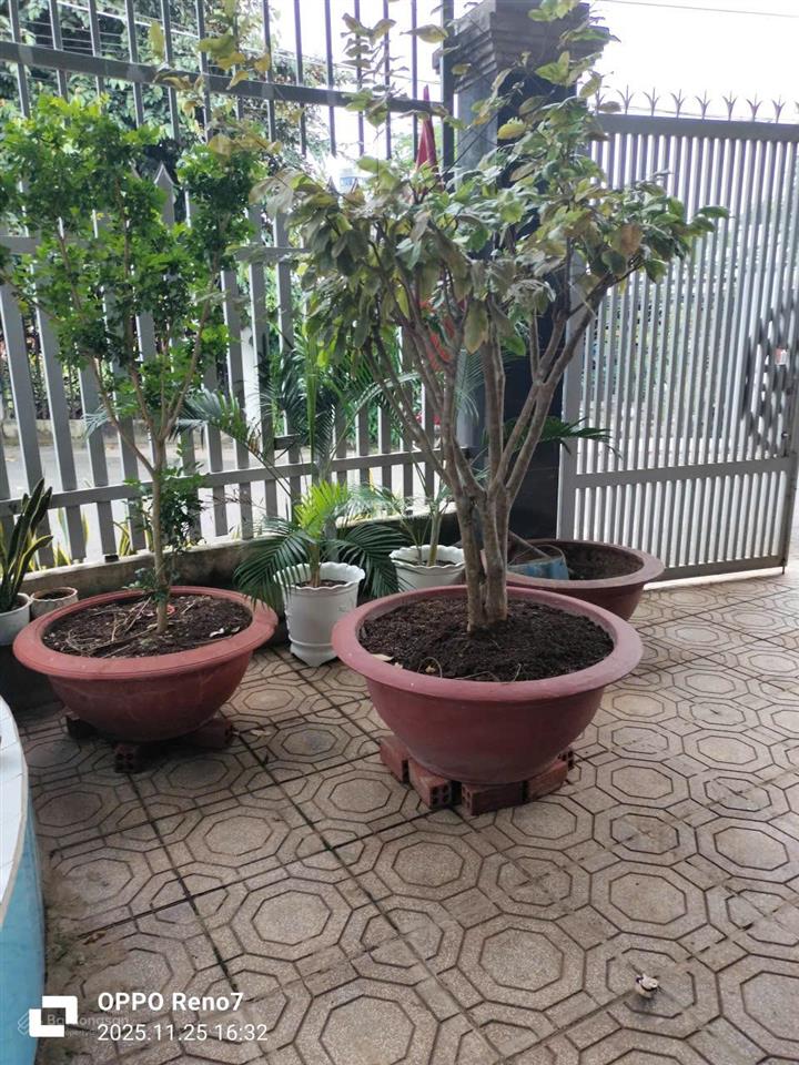 Bán căn nhà góc 2 mặt tiền đường nhựa 81 long phước gần đường tỉnh lộ 52 tphcm
