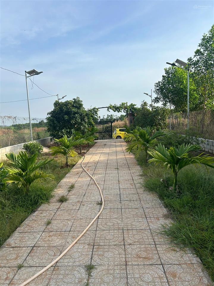 Nhánh đường lê thị hồng gấm, cách quốc lộ 55 ~300m