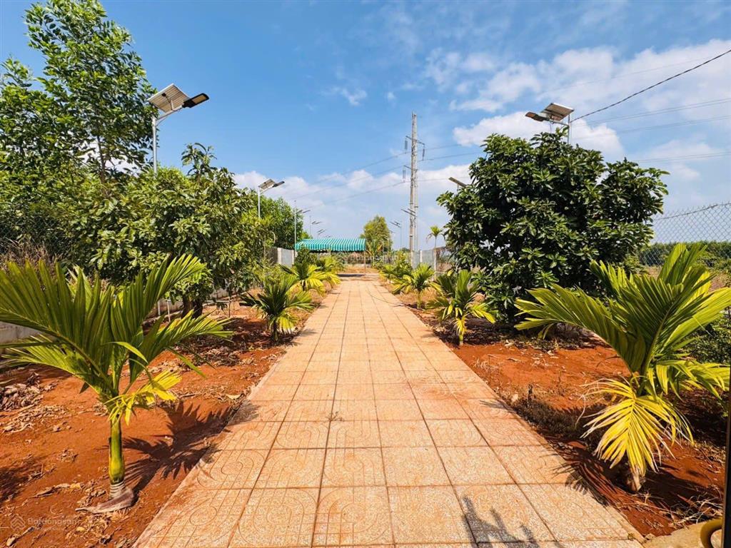 Nhánh đường lê thị hồng gấm, cách quốc lộ 55 ~300m