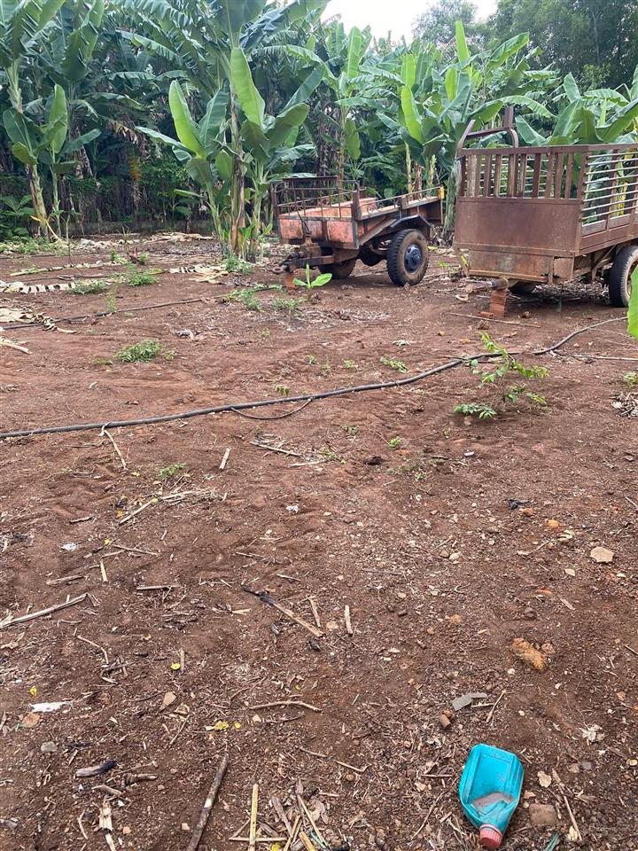 Gần 2 sào đất nghỉ dưỡng giá chỉ 1ty7. sẵn nhà c4 trên đất. ao cá giải trí. gần nhựa lớn 250m. shr