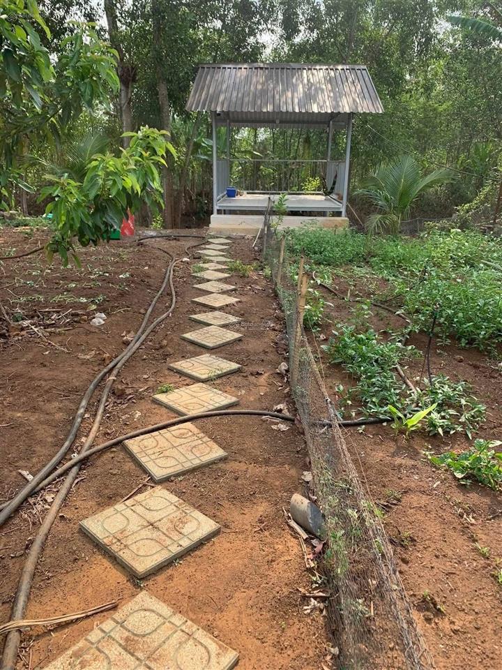 Gần 2 sào đất nghỉ dưỡng giá chỉ 1ty7. sẵn nhà c4 trên đất. ao cá giải trí. gần nhựa lớn 250m. shr