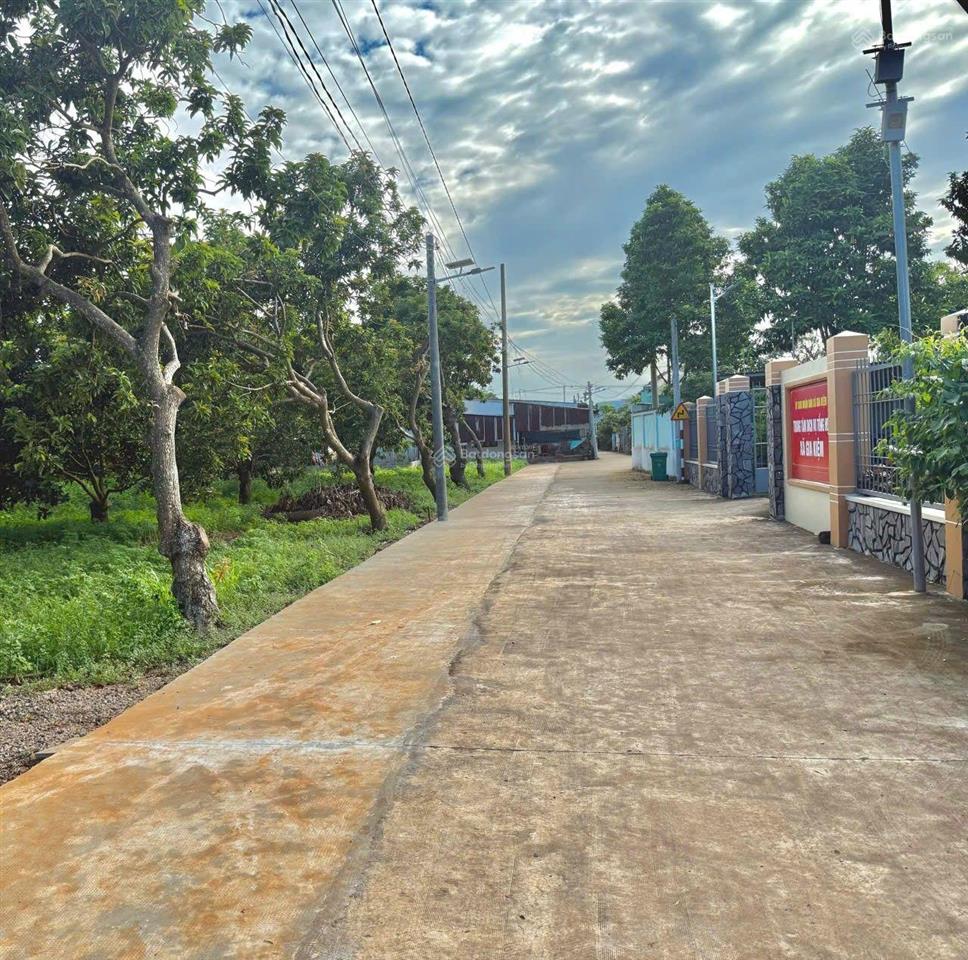 Đất thổ cư sổ riêng đối diện trường học, đường bê tông khu dân cư giá chỉ 550tr. dt 125m2 shr tc