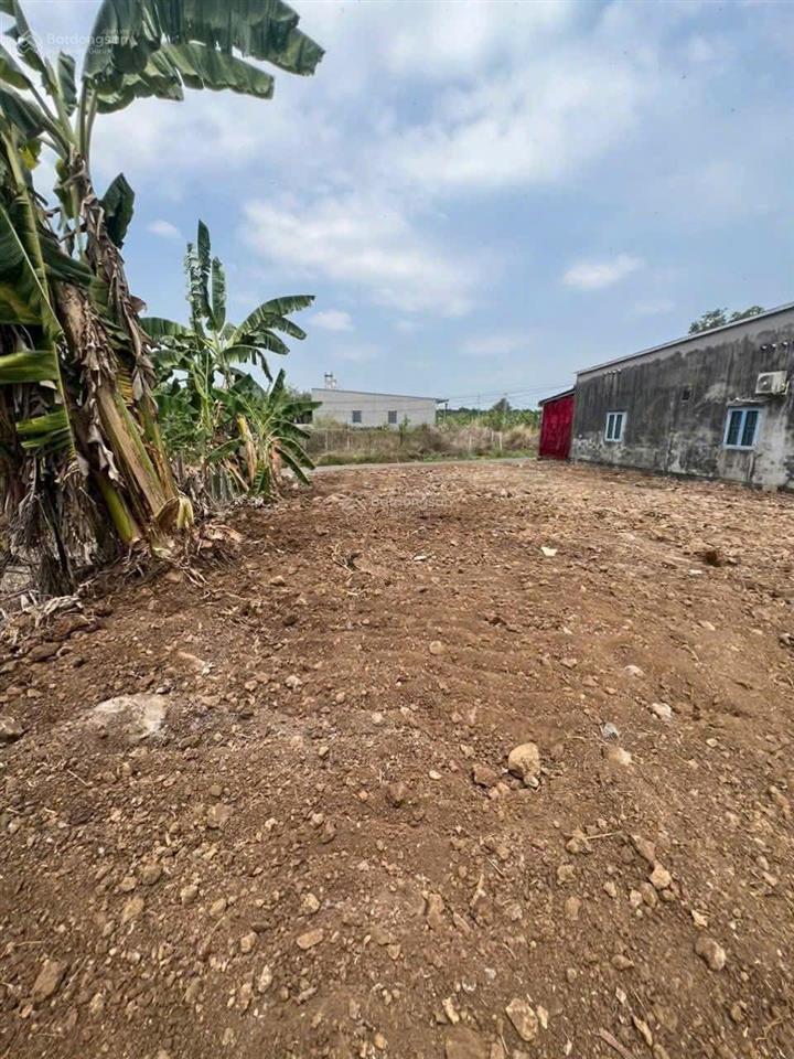 Chủ gửi bán 1 sào đất mặt tiền nhựa bào sậy xã gia kiệm giá 1tỷ25 tl