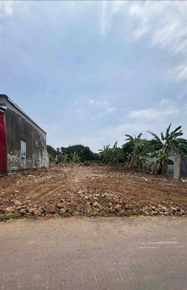 Chủ gửi bán 1 sào đất mặt tiền nhựa bào sậy xã gia kiệm giá 1tỷ25 tl