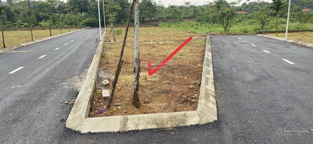 Chính chủ bán đất trại lãng, cổ đông, sơn tây 82m2 lô góc 3 mặt tiền