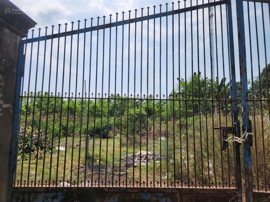 Bán đất 5x40 có thổ cư 1 sẹc đường hòa hưng 3 cách ql22 500m ,p. an hòa trảng bàng tây ninh 800tr