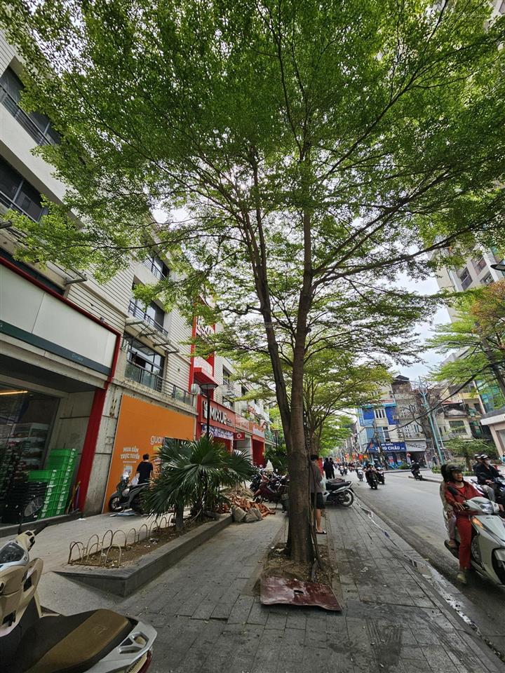 Tìm mua 2 ch 2pn 3pn tại chung cư pcc1 triều khúc, 5 tỷ, 54 57 60 80m2 0966 849 ***