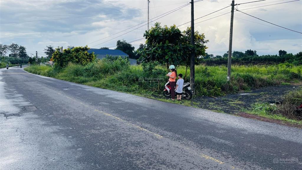 Bán đất mặt tiền đường nông cơ