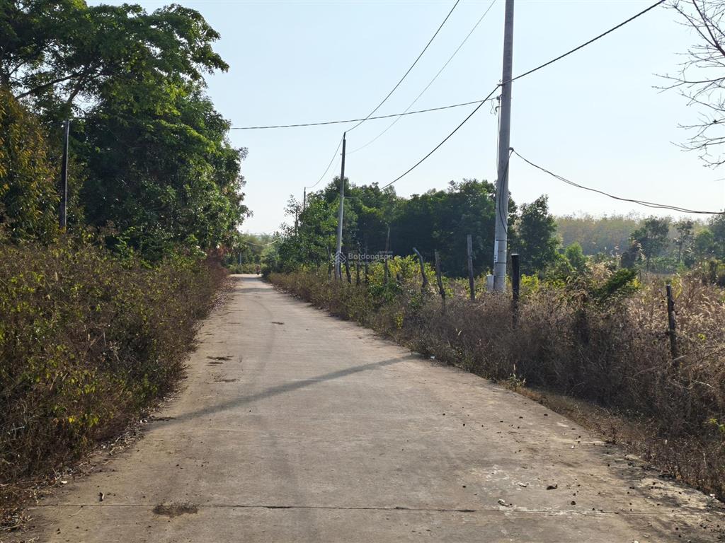 2ha điều non, 2 mặt tiền vuông vức đẹp lộc khánh, lộc ninh, bình phước (cũ)