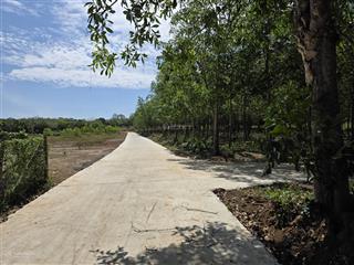 2,8ha cao su, 262m2 mặt tiền bê tông lộc an  lộc ninh  bình phước (cũ)