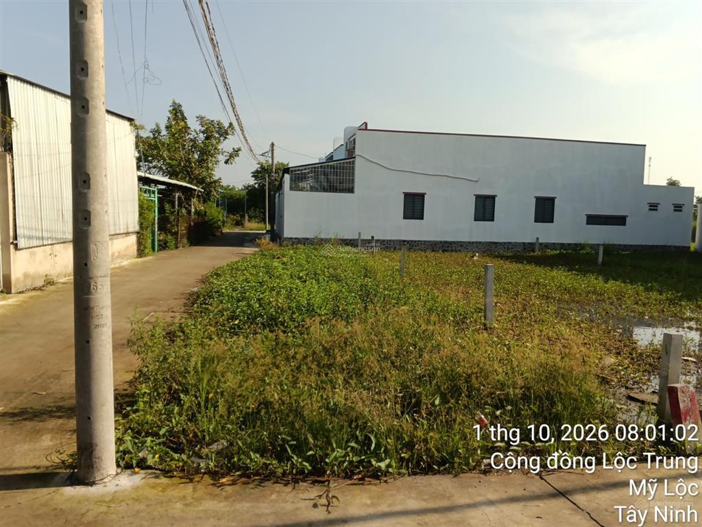 Bán đất 136,5m2 tại lô nhì cộng đồng lộc trung. giá 1,1 tỷ(bớt lộc lá cho bác nhanh gọn lẹ)