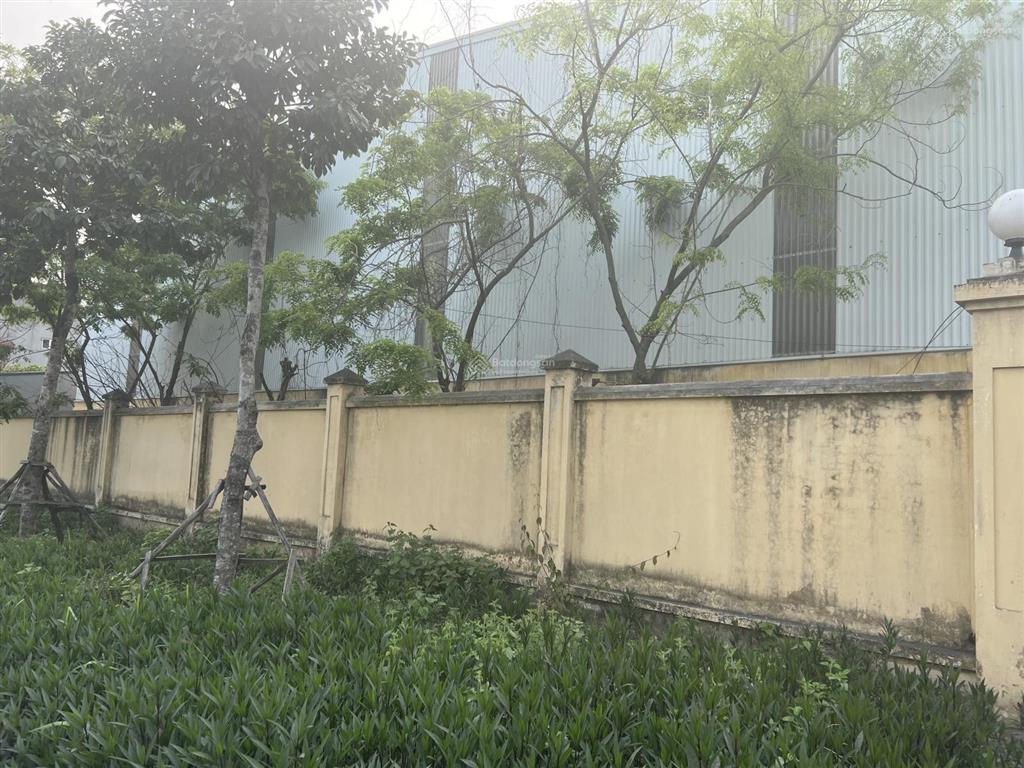 Cho thuê kho xưởng tại đông anh