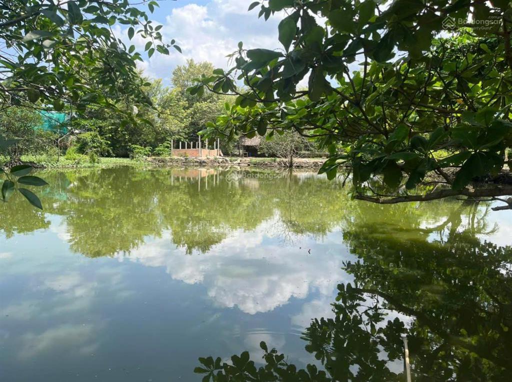 Bán đất tại 1053 đoàn hữu tuấn(đoàn nguyễn tuấn), tân quý tây, bình chánh, giá tốt, 7000 m2