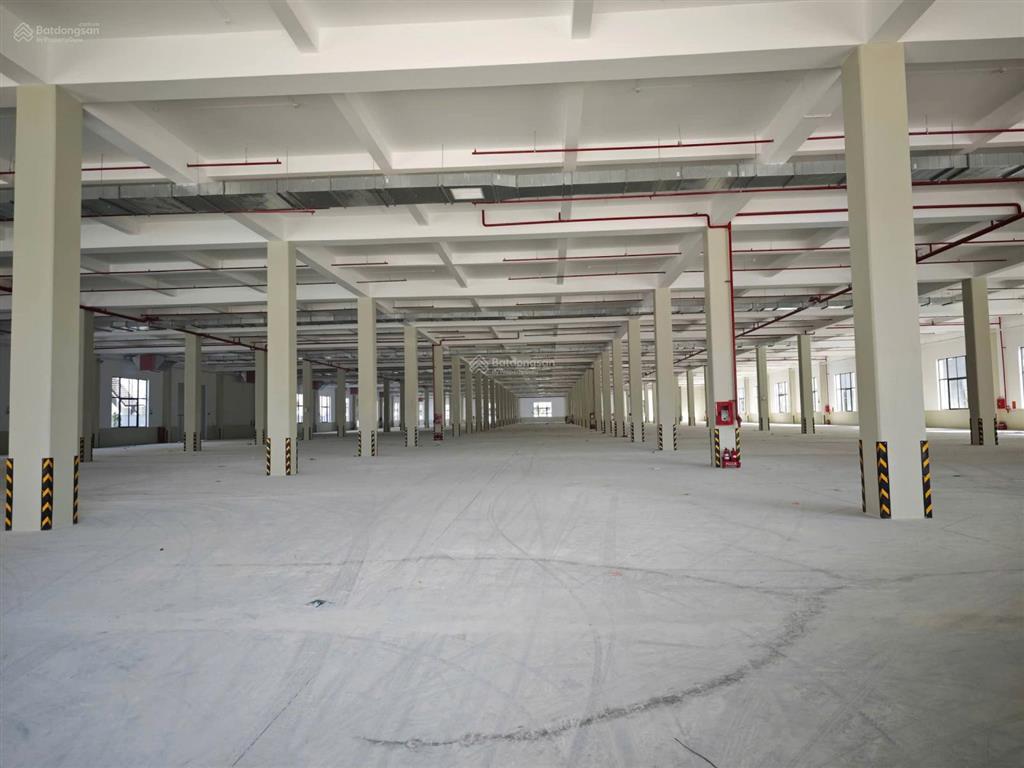Bán nhà xưởng 41.000m2 mới xây dựng, trong khu công nghiệp bàu bàng  bình dương