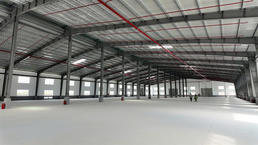 Cho thuê 9900m2 xưởng trong khu công nghiệp bàu bàng, bình dương