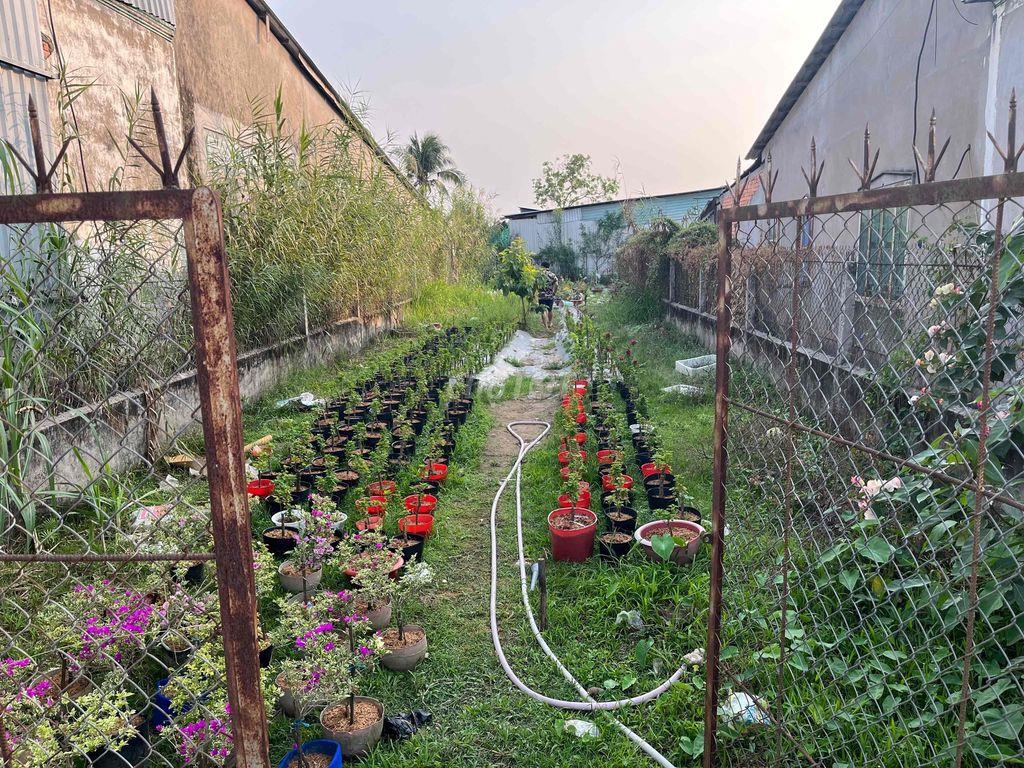 BÁN ĐẤT MẶT TIỀN ĐƯỜNG TÔ VĨNH DIỆN
