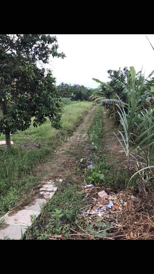 Đất mặt tiền Quốc lộ 54 phường Đông Thành