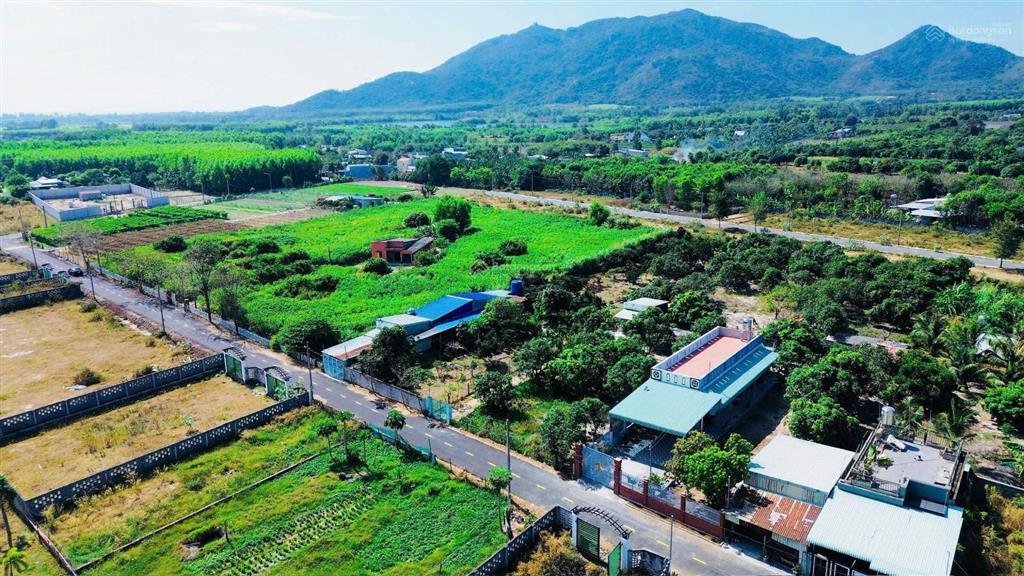 Phước hải  2000m2 view núi cực đẹp
dt 2000m2  20x100  quy hoạch đất ở
mặt tiền đường nhựa 8m