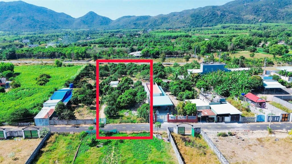 Phước hải  2000m2 view núi cực đẹp
dt 2000m2  20x100  quy hoạch đất ở
mặt tiền đường nhựa 8m