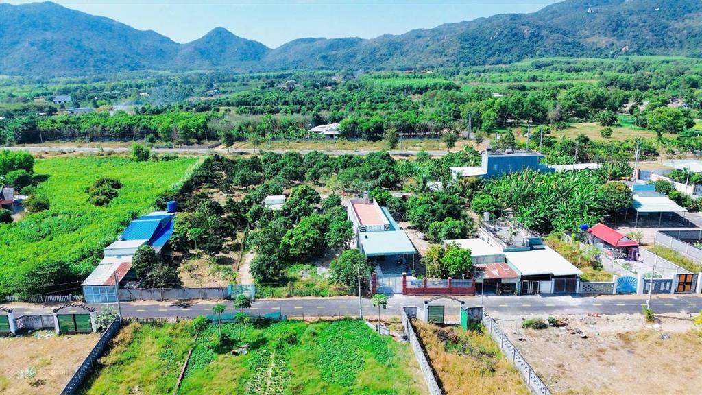 Phước hải  2000m2 view núi cực đẹp
dt 2000m2  20x100  quy hoạch đất ở
mặt tiền đường nhựa 8m