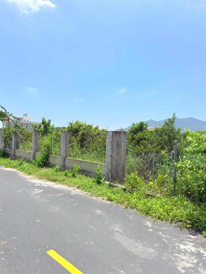Vườn trái cây đẹp thoáng mát gần biển phước hải 3000m2 33,5x90m 480m2 thổ cư mặt tiền đường nhựa
