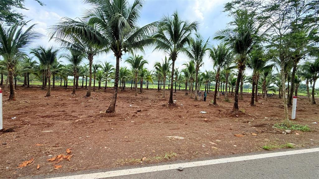 Đất mặt tiền tỉnh lộ 997  720m2, giá chỉ 2,05 tỷ  còn vài lô!