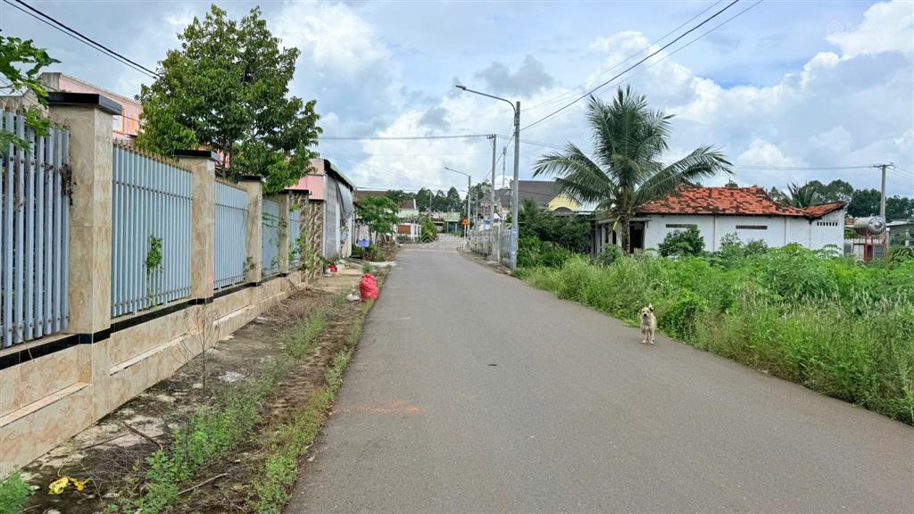 Lô nhà vườn gần chợ đất đỏ  649m2, nở hậu 25m, giá 2,25 tỷ