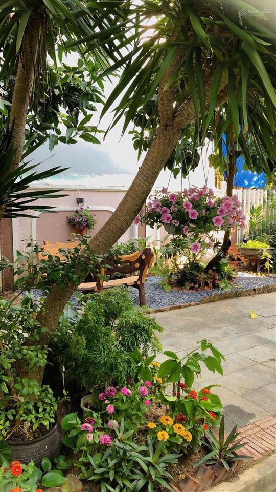 Hàng hiếm an xuân đất 200m² tặng biệt thự sân vườn đường 10m5