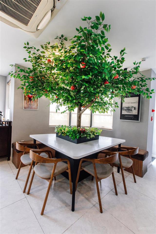 80 tỷ! góc 2 mặt tiền cityland nguyễn văn lượng (9.3m x 20m) đang có cà phê trung nguyên vận hành