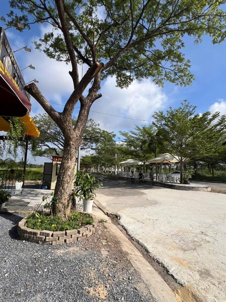 Lô 100m2 khu dân cư daresco, giá tốt nhất hiện nay, sổ hông riêng, bán gấp trước tết âm