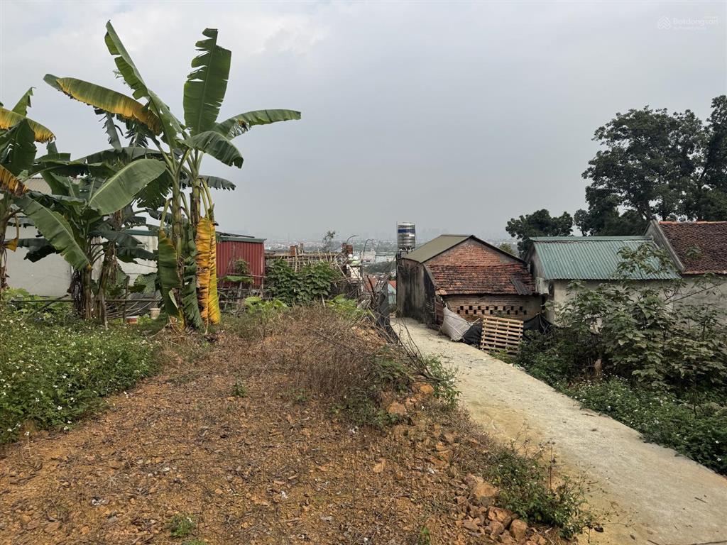 Bán đất tại tân hoà  quốc oai gần đường tl 419, dt 445m2, giá chỉ 19 triệu/m2