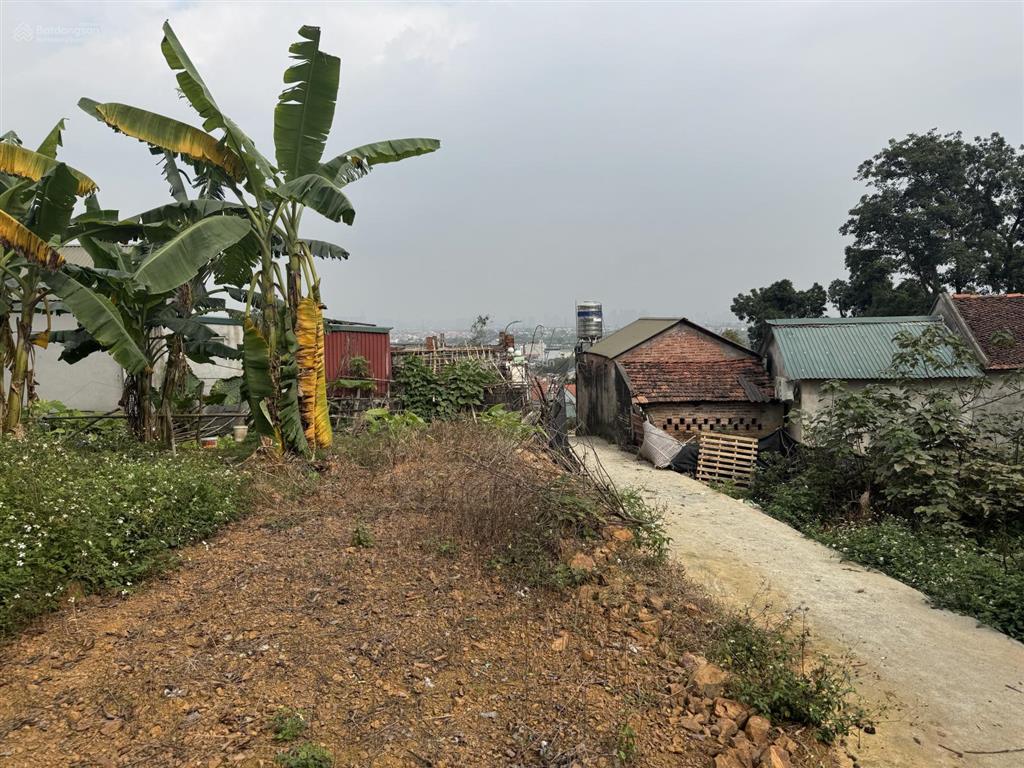 Bán đất tại tân hoà  quốc oai gần đường tl 419, dt 445m2, giá chỉ 19 triệu/m2