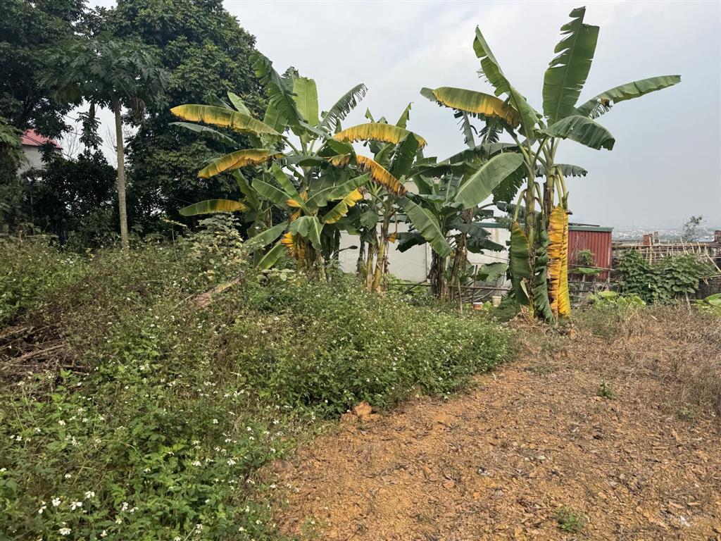 Bán đất tại tân hoà  quốc oai gần đường tl 419, dt 445m2, giá chỉ 19 triệu/m2