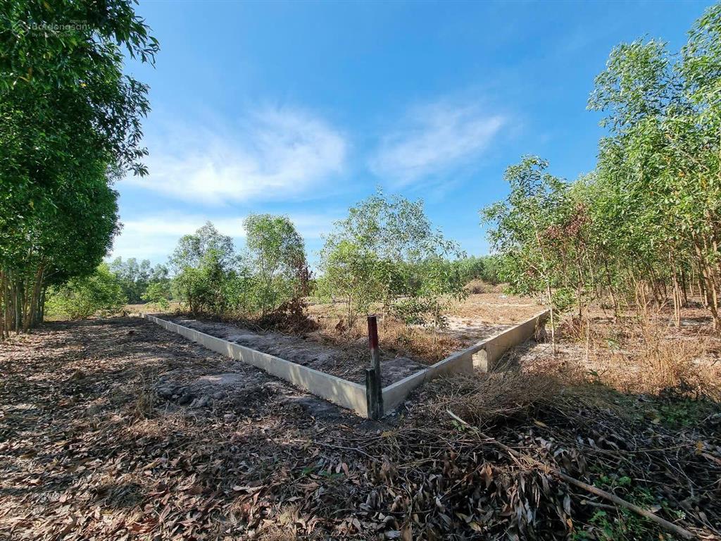 Bán đất vườn 2.503m2 xã vĩnh thanh, nhơn trạch, đồng nai  sổ riêng