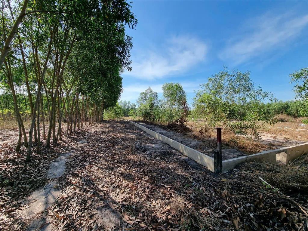 Bán đất vườn 2.503m2 xã vĩnh thanh, nhơn trạch, đồng nai  sổ riêng