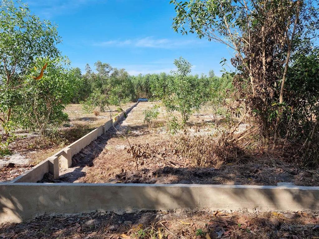 Bán đất vườn 2.503m2 xã vĩnh thanh, nhơn trạch, đồng nai  sổ riêng