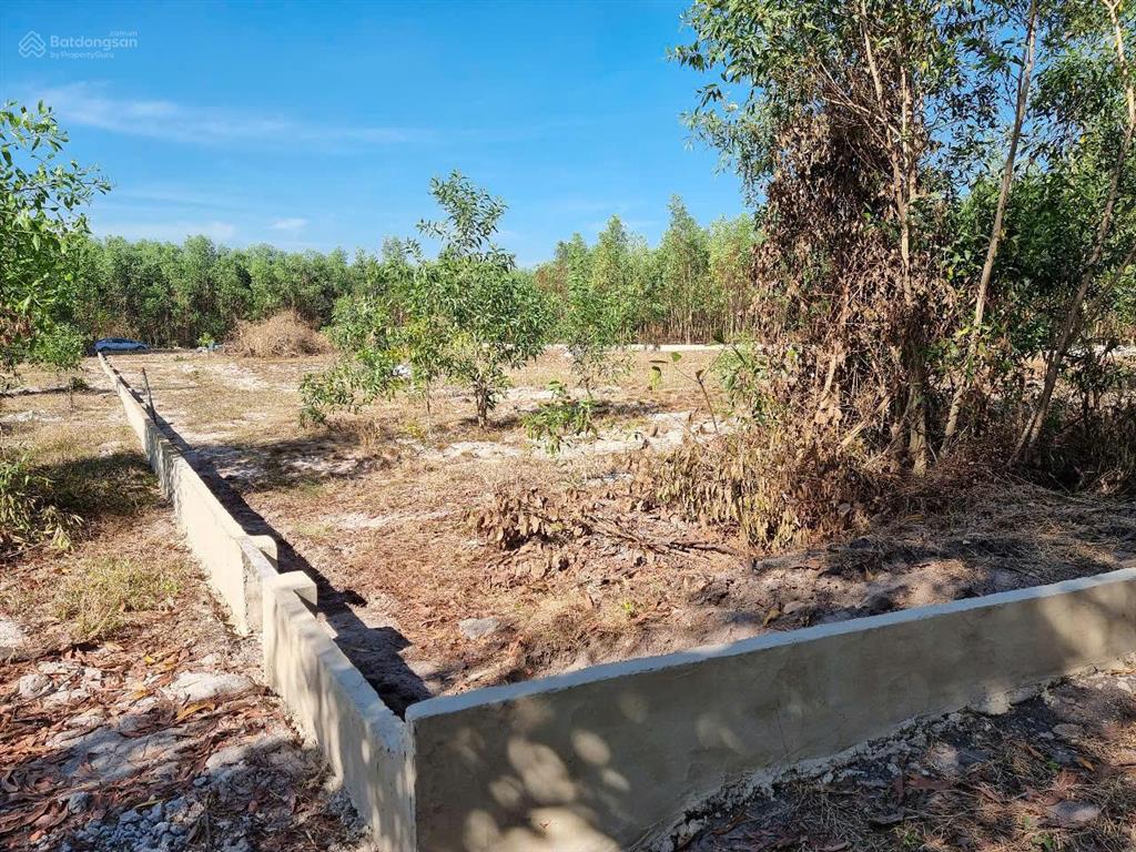 Bán đất vườn 2.503m2 xã vĩnh thanh, nhơn trạch, đồng nai  sổ riêng
