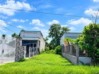Đất thổ cư 5x60m mặt tiền nhựa láng cẩm