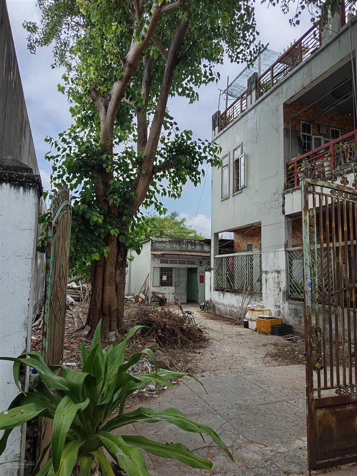 Chính chủ kẹt tiền bán gấp biệt thự 669m2 (515m2 thổ cư)ngay võ thị sáu, long điền