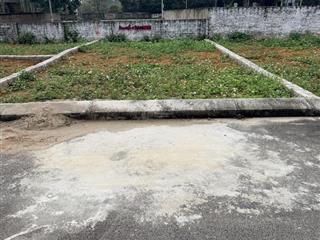 Cần tiền bán nhanh tại đồng trạng  cổ đông