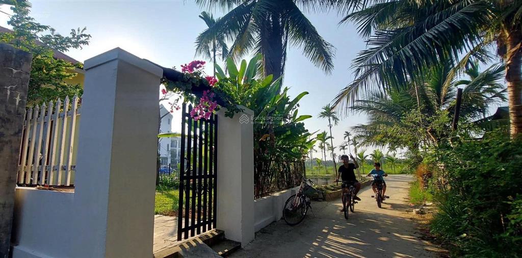 Nhà vườn view lúa cẩm thanh ngang 8m đẹp giá tốt