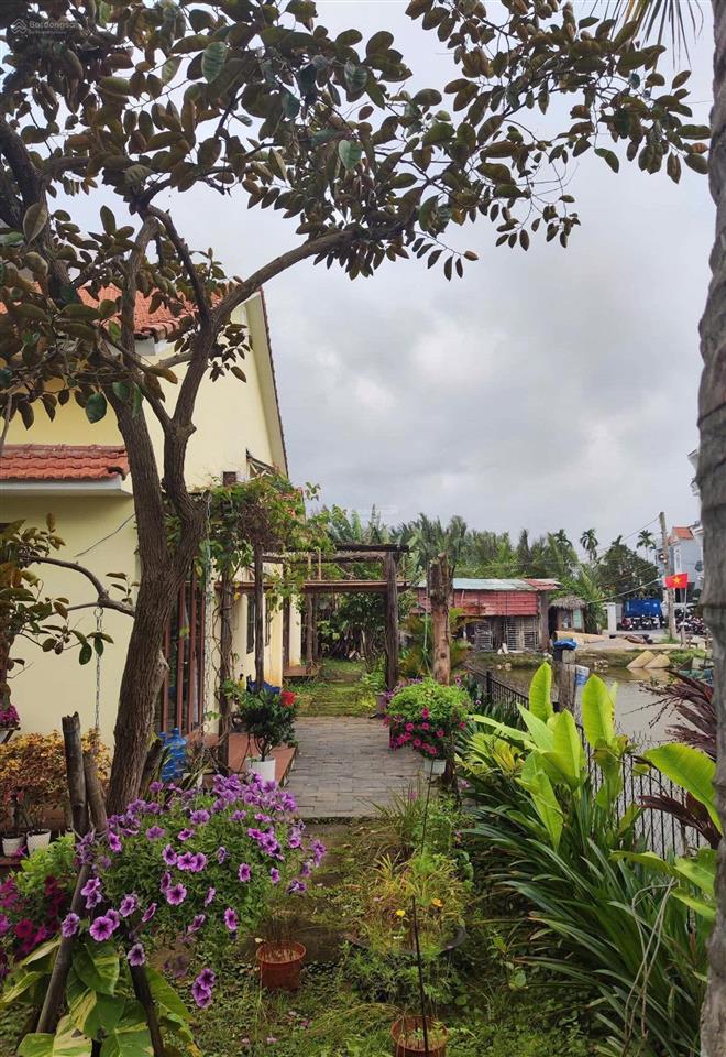 Nhà vườn view lúa cẩm thanh ngang 8m đẹp giá tốt