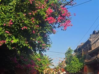 Đất mt nguyễn duy hiệu sát phố đi bộ ngang 7m9 rất đẹp, chỉ 1 lô duy nhất