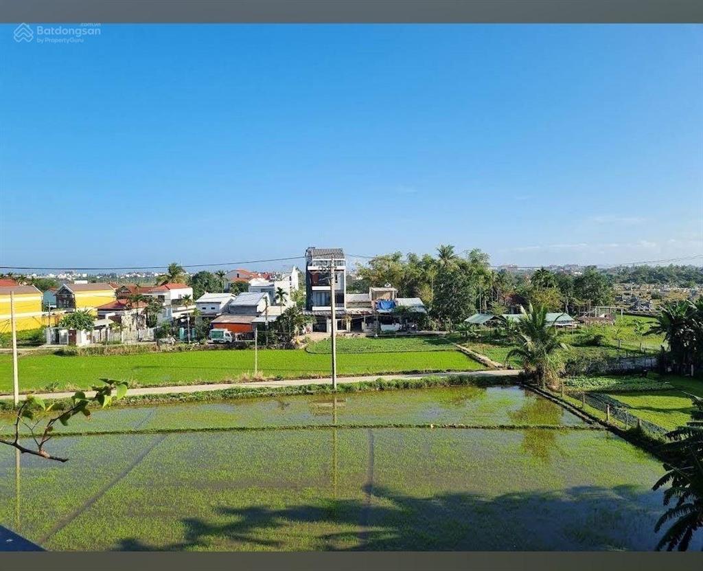 Mt cửa đại rẽ hơn tt 15%, ngay ks mad monkey view sông, hậu view lúa