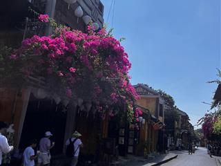 Đất mt trung tâm hội an giá chưa tới 8 tỷ, đ. lê hồng phong
